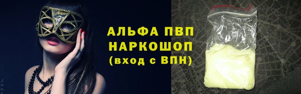 прущий лед Дмитриев