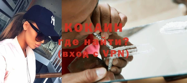 прущий лед Дмитриев