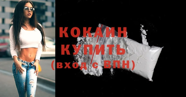 прущий лед Дмитриев