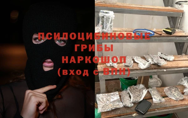 прущий лед Дмитриев