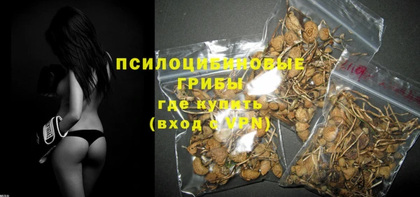 прущий лед Дмитриев